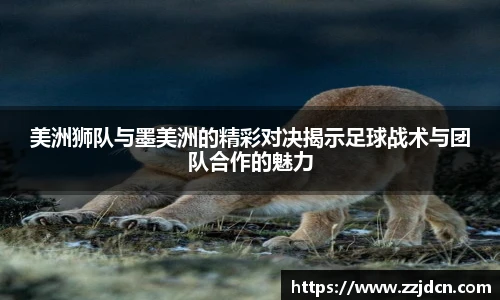 美洲狮队与墨美洲的精彩对决揭示足球战术与团队合作的魅力